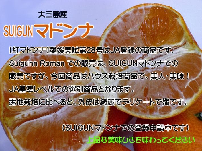 【あんこ】SUIGUNマドンナL玉10Kg×1箱+3Kg×1箱　２か所送り