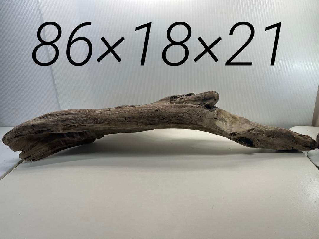 V84特大流木 アク抜き済み流木 爬虫類シェルター 登り木 インテリア 生け花