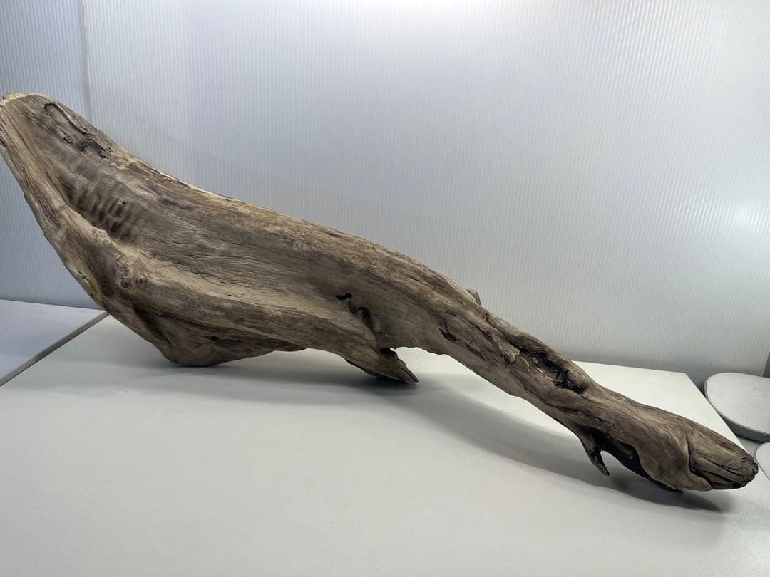 V84特大流木 アク抜き済み流木 爬虫類シェルター 登り木 インテリア 生け花