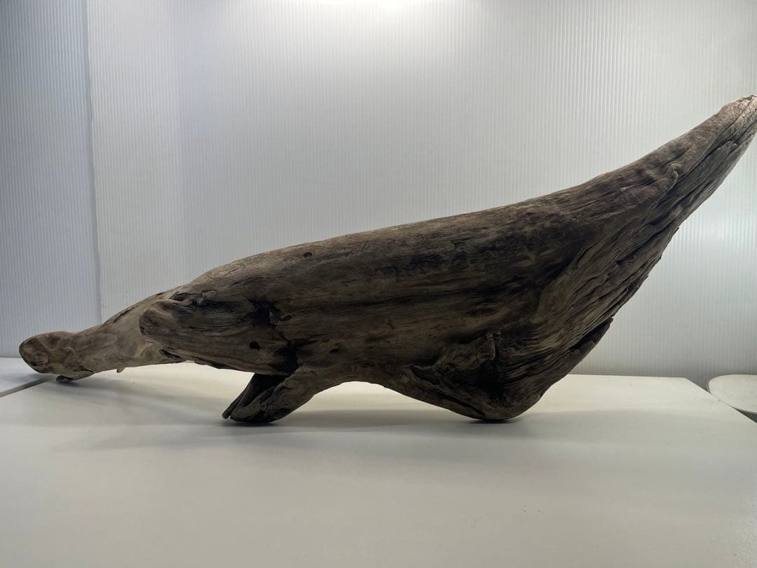 V84特大流木 アク抜き済み流木 爬虫類シェルター 登り木 インテリア 生け花