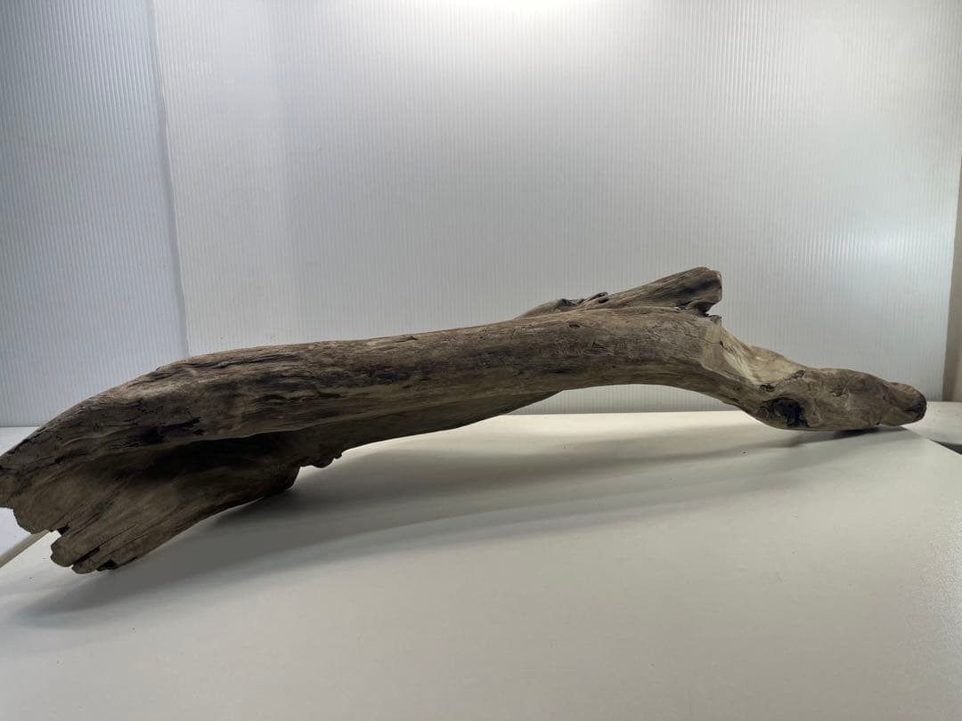 V84特大流木 アク抜き済み流木 爬虫類シェルター 登り木 インテリア 生け花