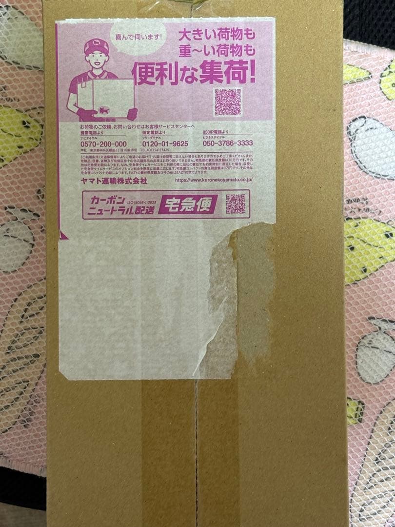 ポケモンセンターヒロシマスペシャルボックスシュリンク付きBOX1個