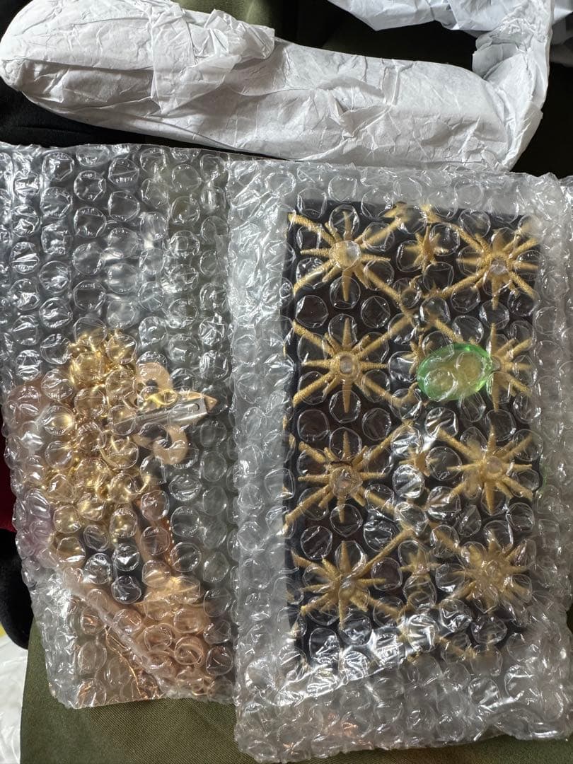 ブレイジングジュエル ディアソムニア寮（S）