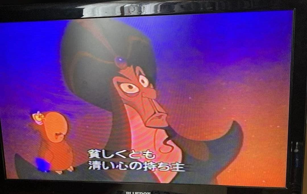 【希少の逸品】VIctor HR-VFG1 リモコン付き