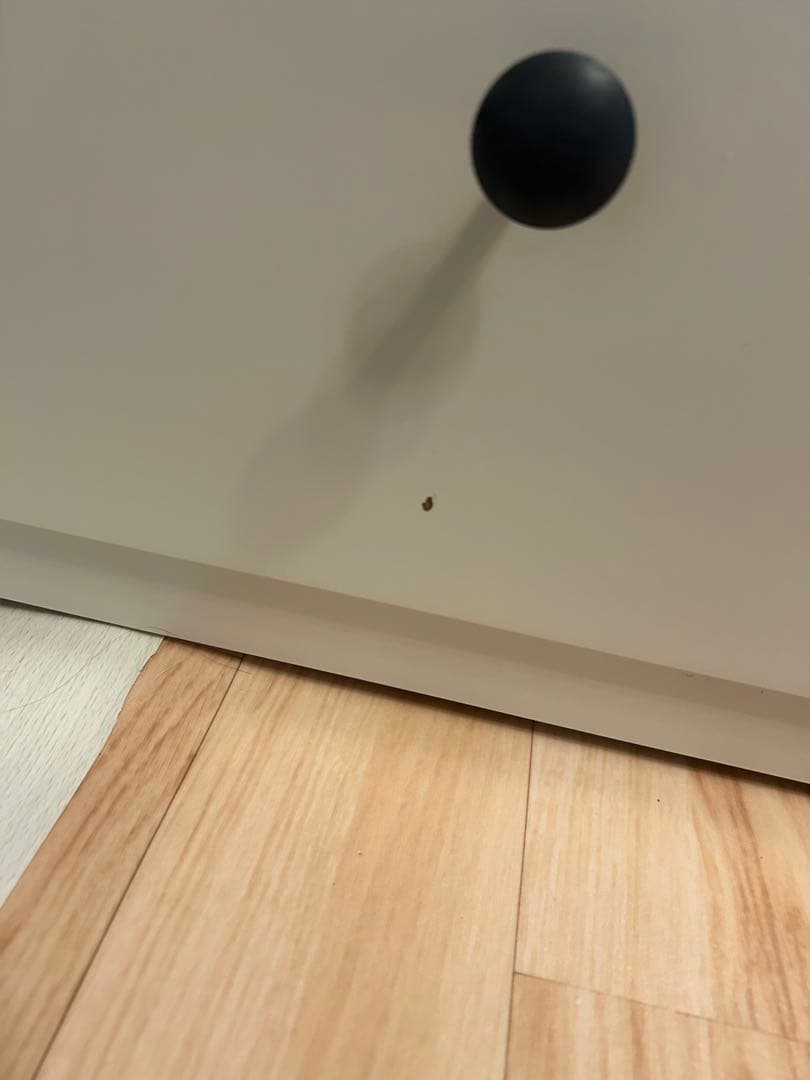 IKEA ヘムネス　ソファベッド⭐︎神戸市内引取のみ