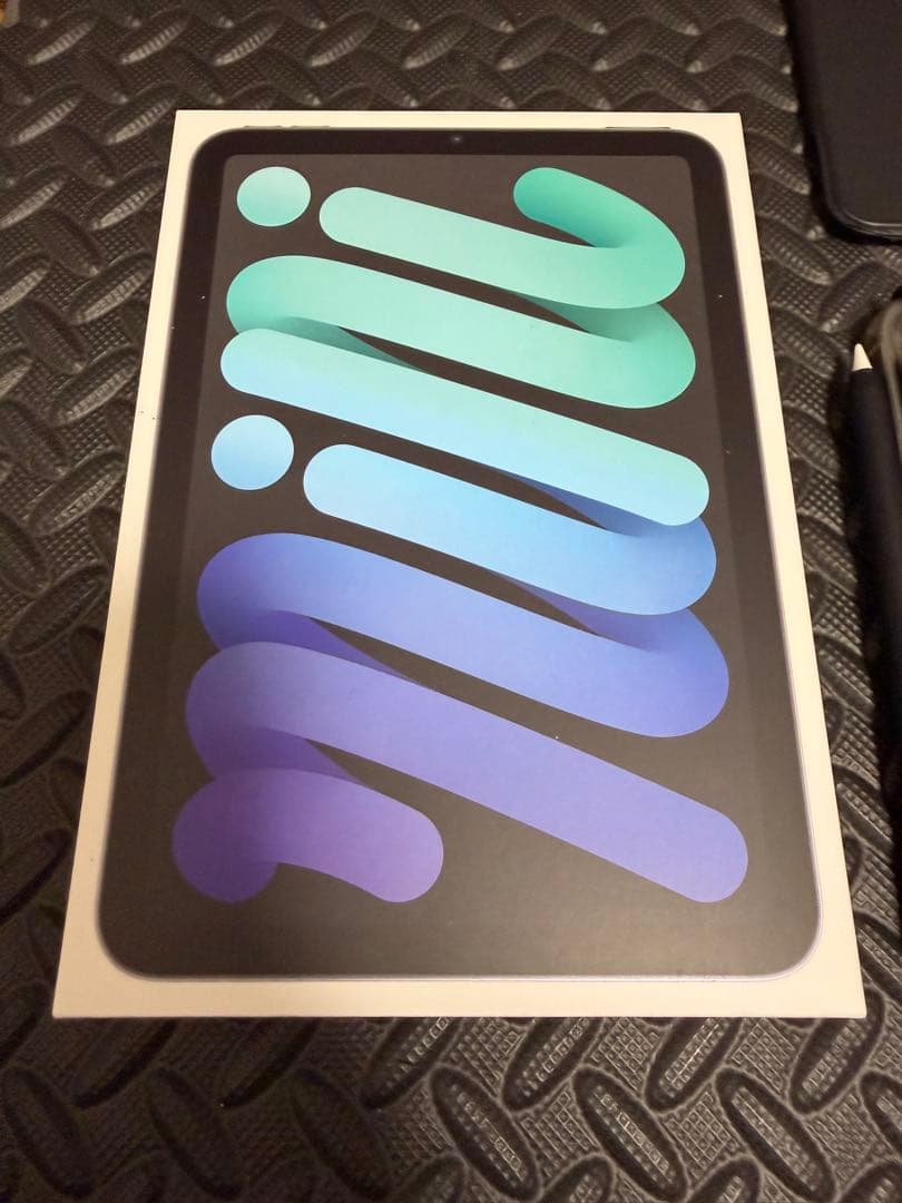 チ*グ様 アップル iPad mini 第6世代 WiFi 256GB他おまけ多