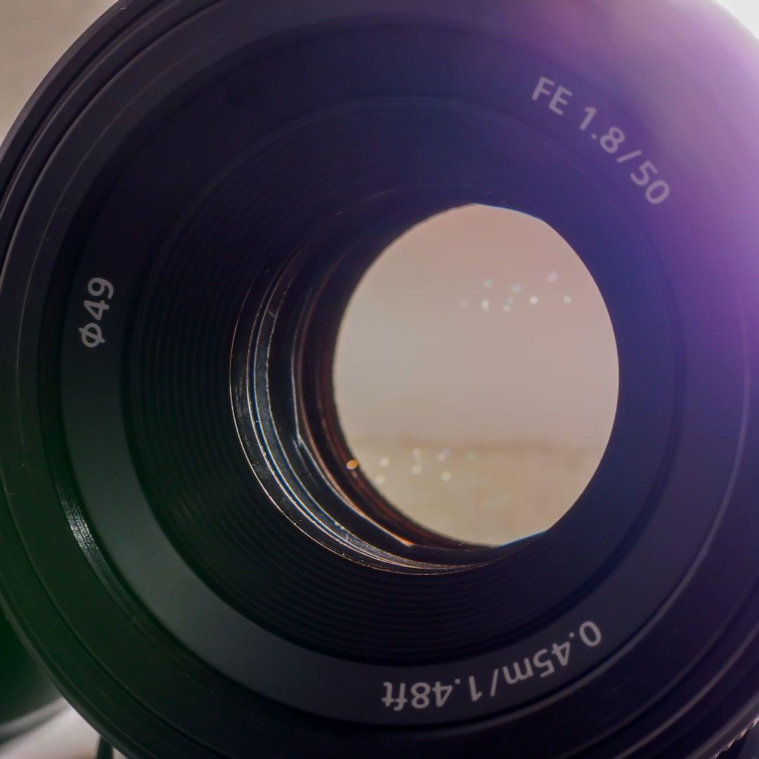 極上完動美品 SONY ソニー 標準単焦点 フルサイズ FE 50mm F1.8