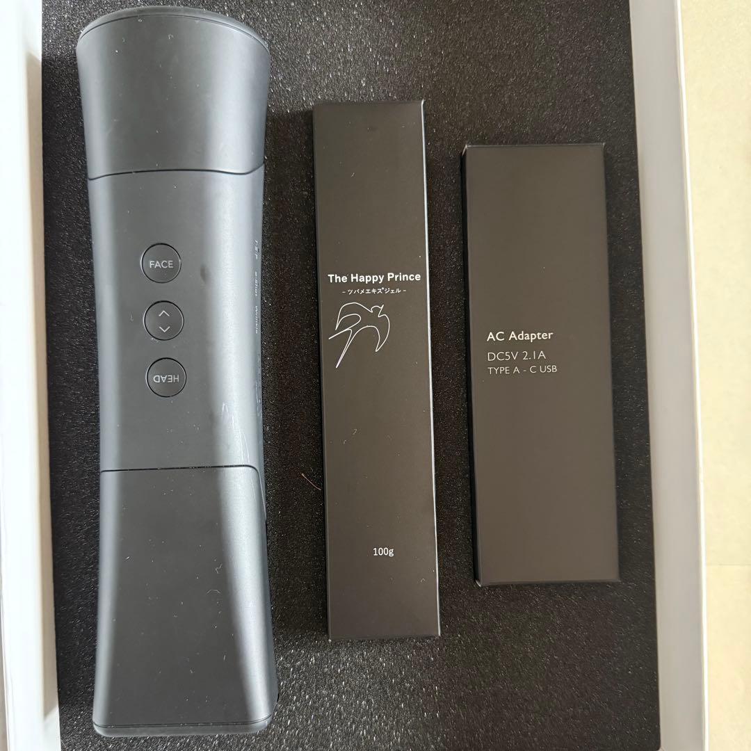 TERAMEE SPLASH PULSE 2700 美顔器