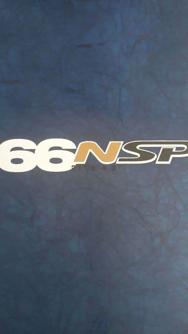 送料込み　NSP 6.6　ミッドレングス　フィン付き