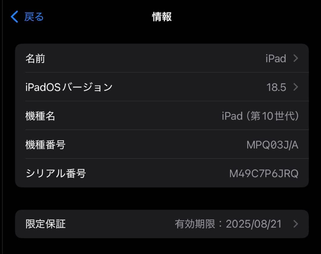 iPad 第10世代 シルバー64GB バッテリー100%