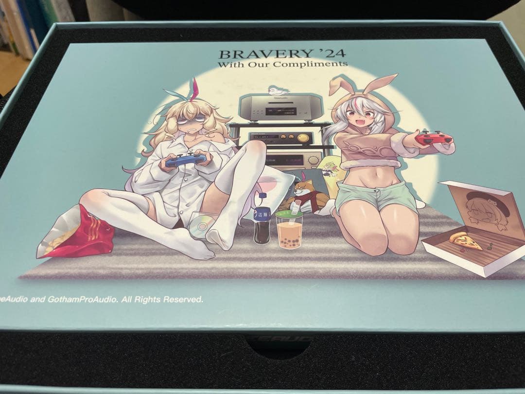 イヤホン seeaudio bravery 24