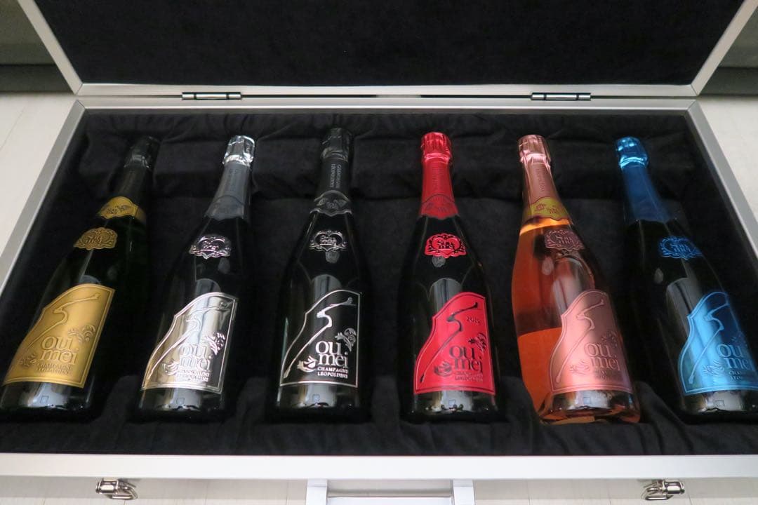 ソウメイ アタッシュケース 6本セット シャンパン レッド ブラック ブルー