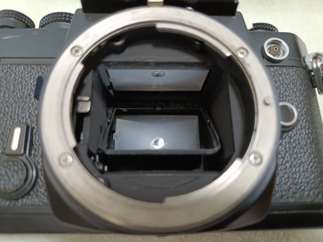 フィルムカメラ Nikon FM 2344369