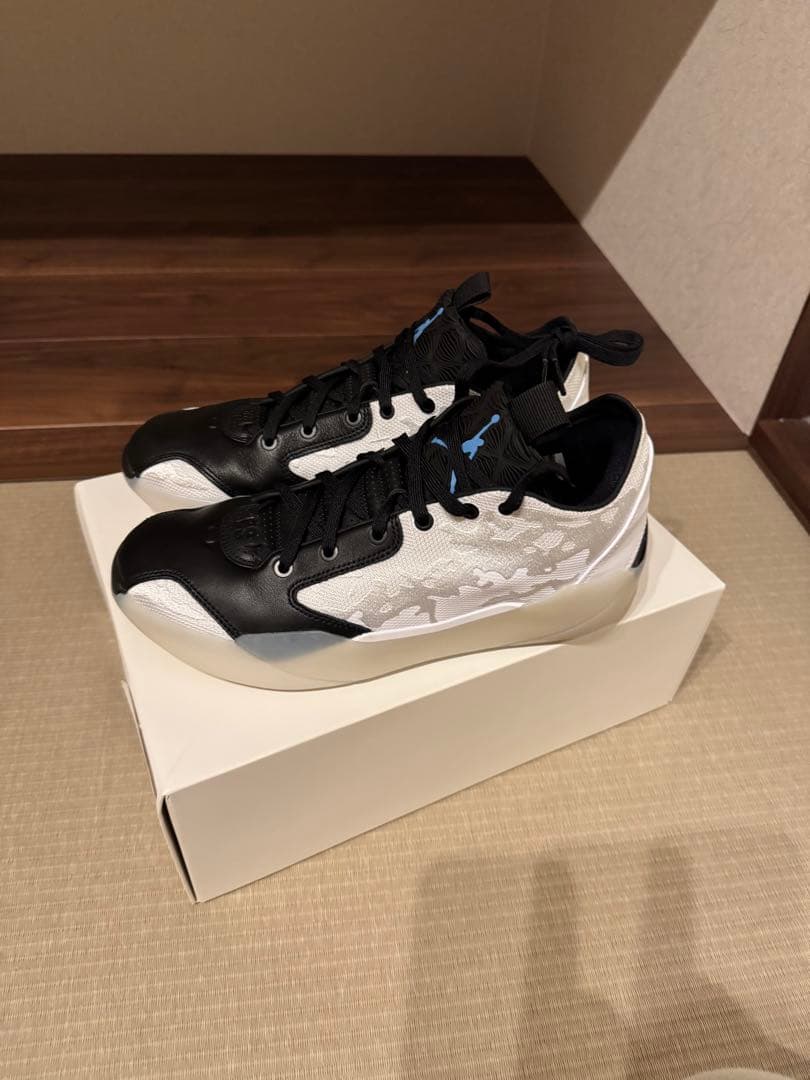 dk16専用　NIKE Air Jordan 39