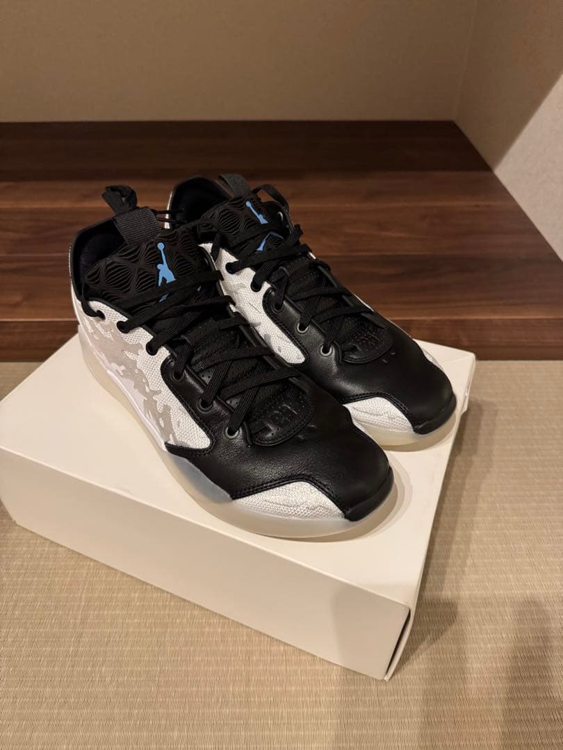 dk16専用　NIKE Air Jordan 39