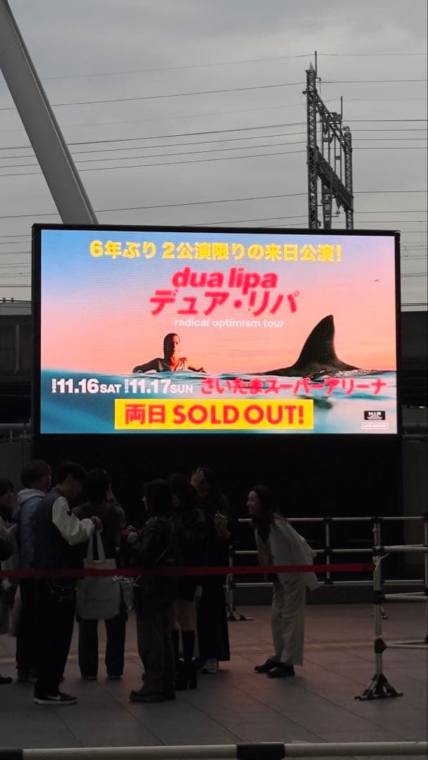 T*H様 【新品未使用】Dua Lipa ラジカル・オプティミズム レコード　レ