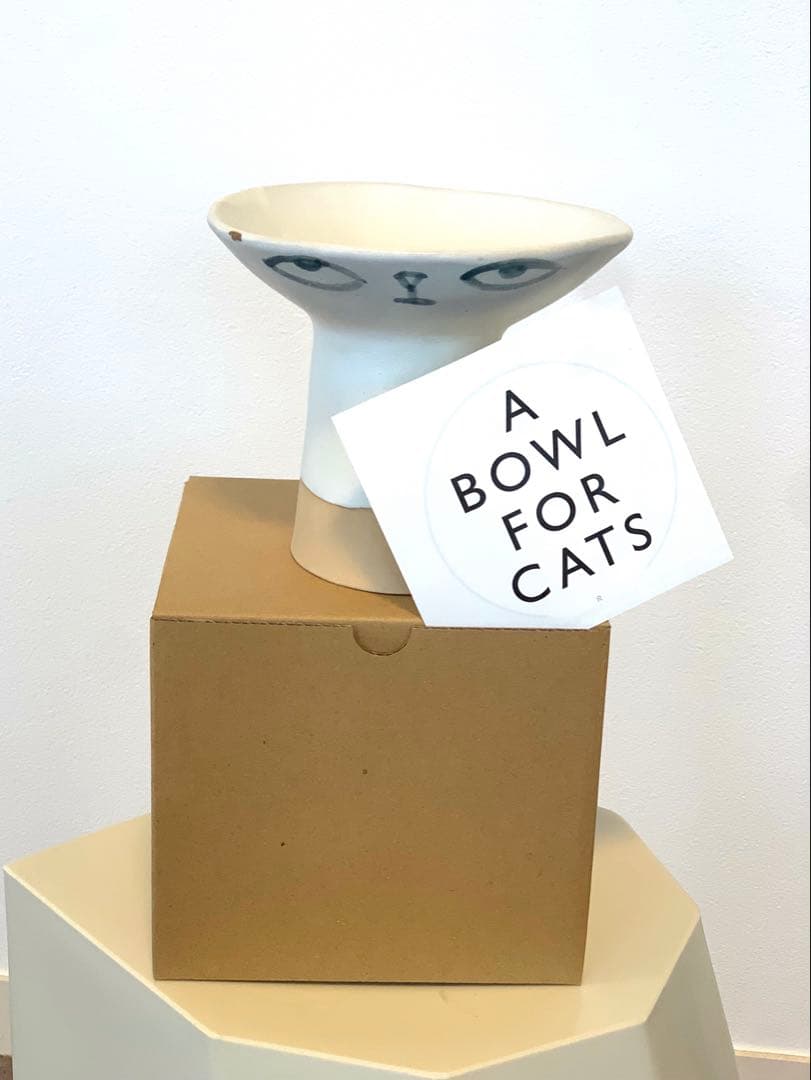 madoka rindal キャットボウル　マドカリンダル