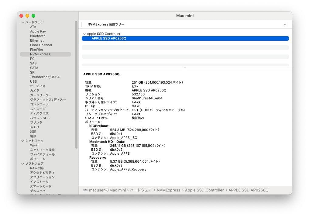 Apple Mac mini (M1, 2020) A2348 (おまけ付き)