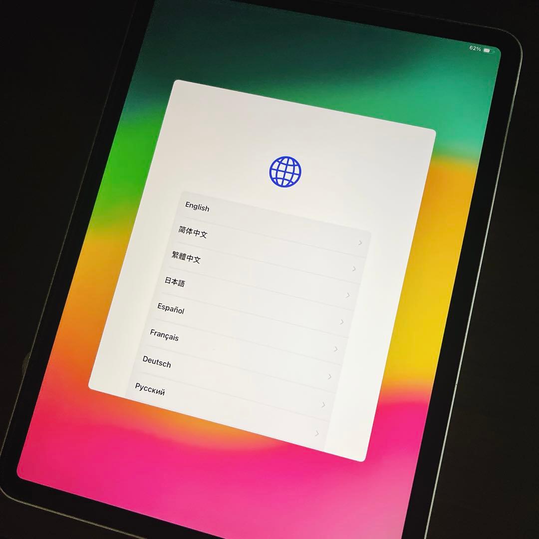 iPad Pro （11インチ）第二世代　256GB 本体のみ