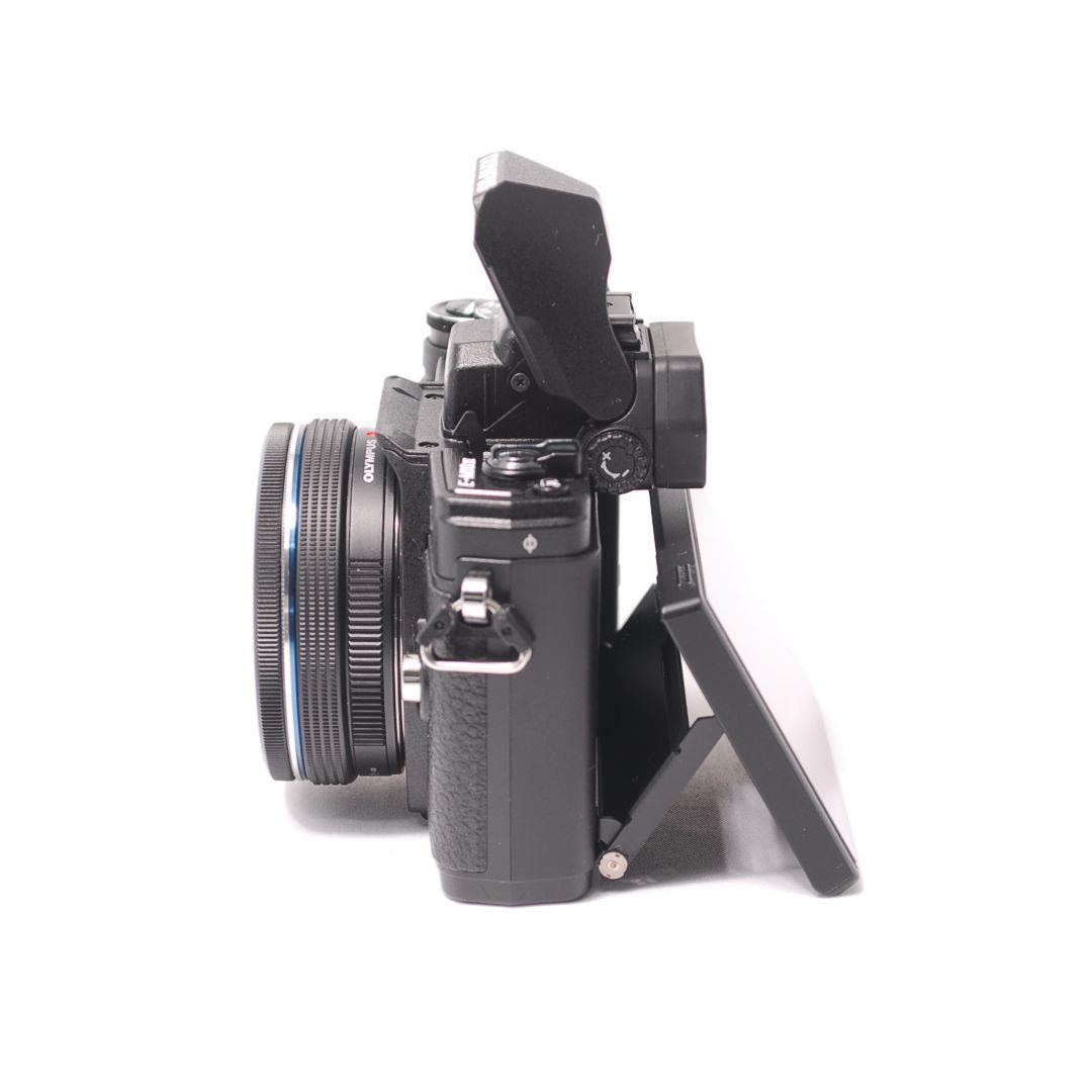 ❤即購入1000円OFF❤極美品❤オリンパス OM-D E-M10 MarkⅢ