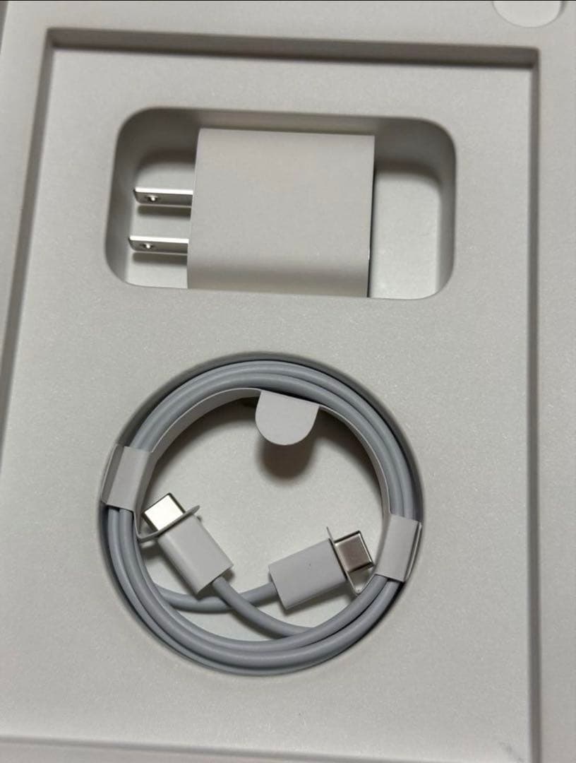 iPad mini 第6世代 256GB Wi-Fi + Cellular