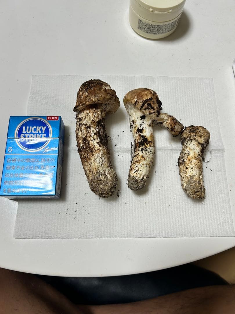 国産松茸極上134g