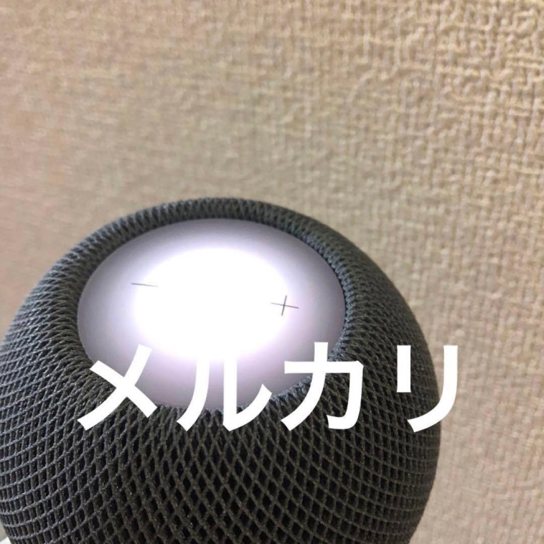 【美品】 Pod mini 2台セット 完動品