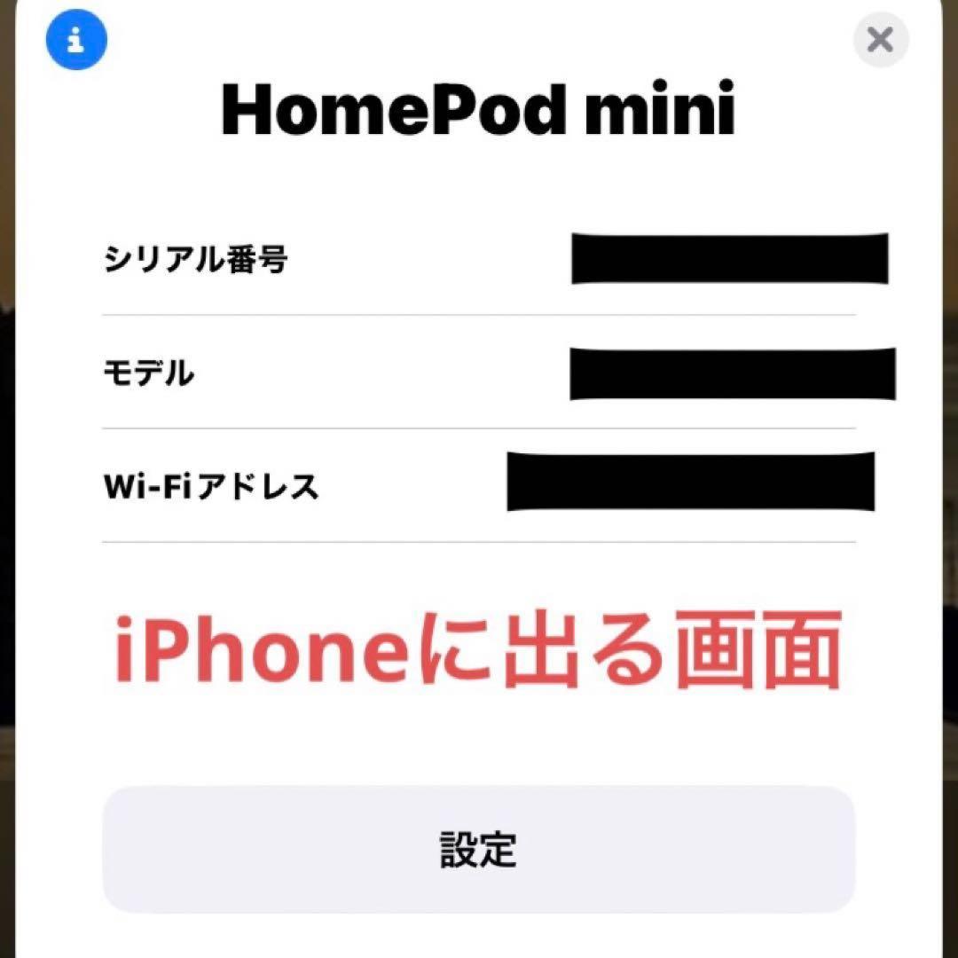 【美品】 Pod mini 2台セット 完動品