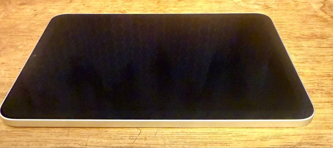 し*ん様 iPad mini 第6 256G + Applepencil バッテ