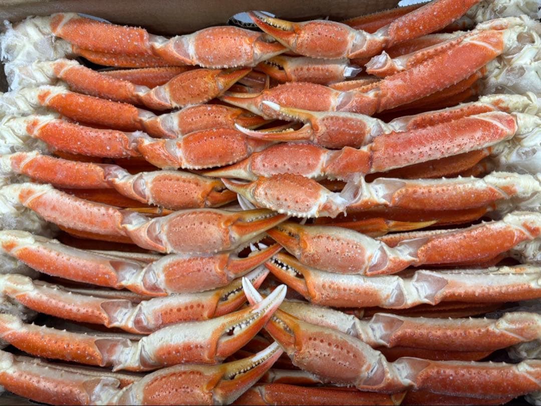 レオっ子大好き様 5kg 本ズワイガニ