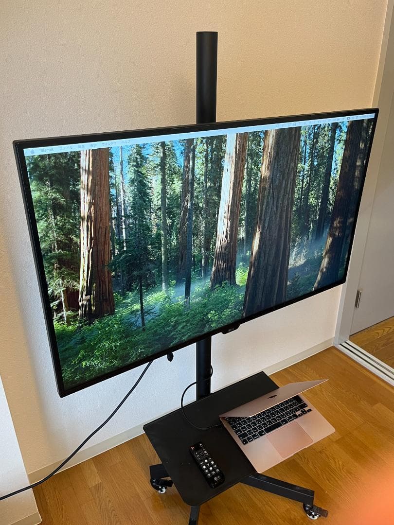 【よっちゃん】LG 42.5インチ4Kモニター 43UD79-B