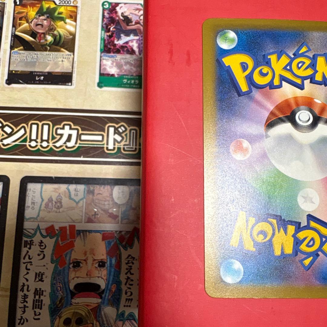 メガリザードンxex ma 加工ズレ　エラー