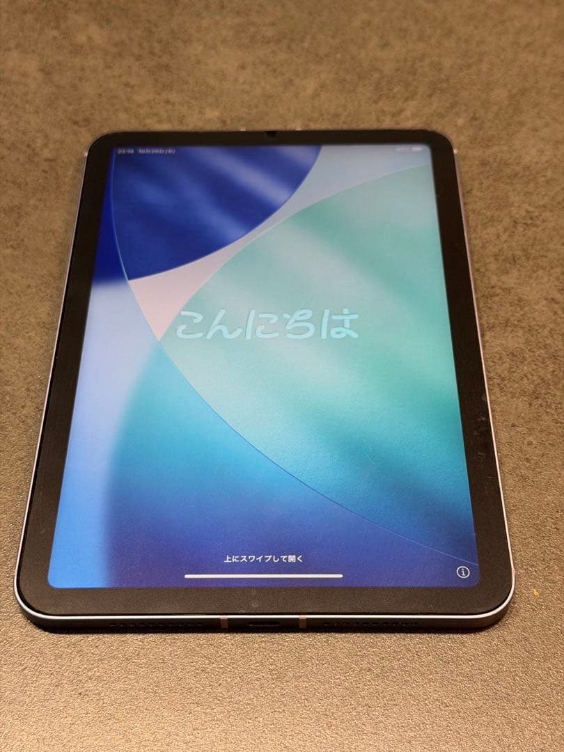 iPad mini 6 Wi-Fi + Cellularモデル 256GB