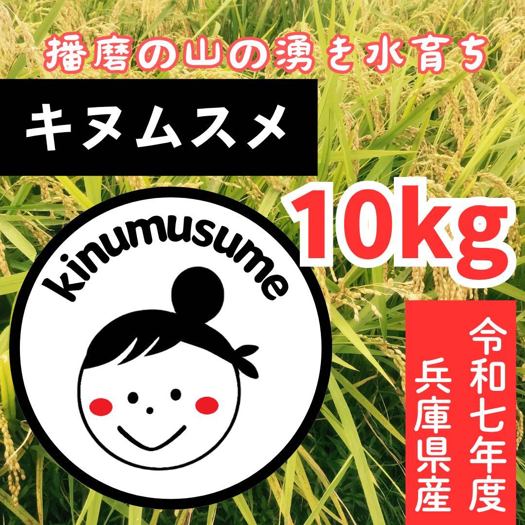 美味★新米 兵庫県産キヌムスメ 10kg 山の湧き水で育てたお米