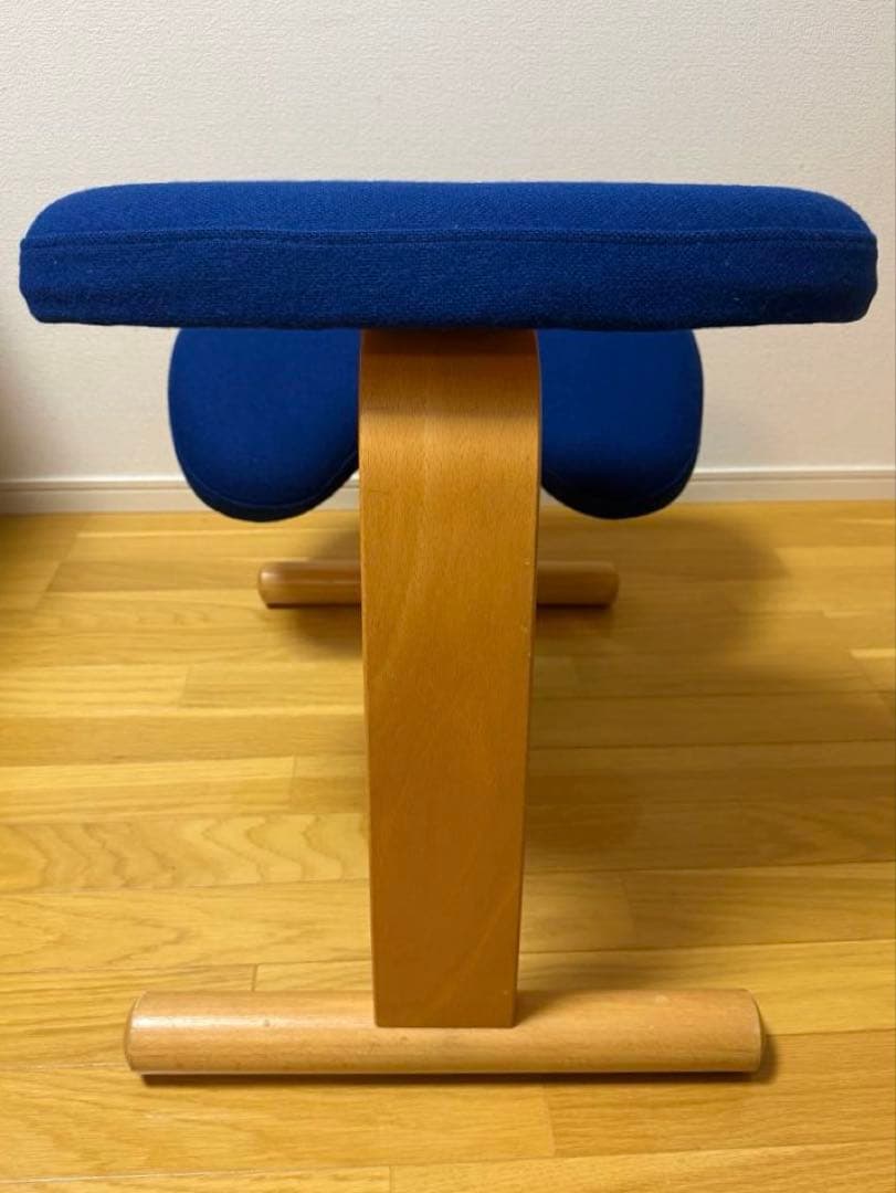 Rybo社 リボ社　［専用カバー付]　バランスチェア イージー