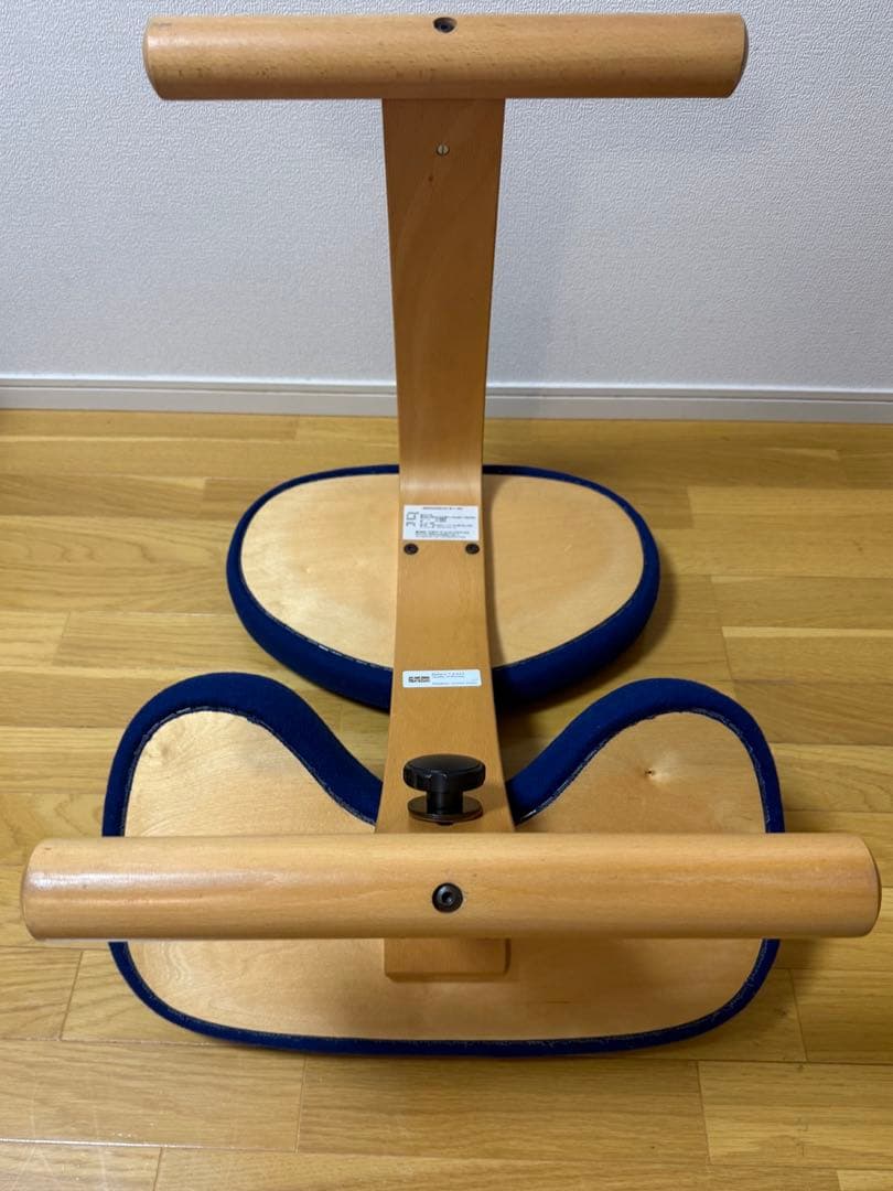 Rybo社 リボ社　［専用カバー付]　バランスチェア イージー