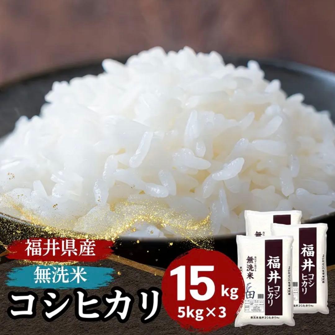コシヒカリ　福井米　令和7年米　新米　15kg 無洗米