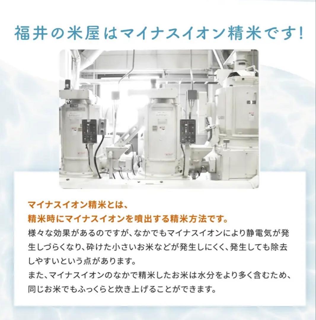 コシヒカリ　福井米　令和7年米　新米　15kg 無洗米