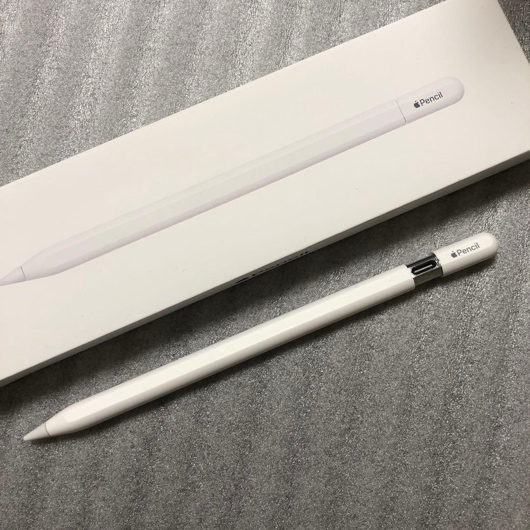 Apple Pencil USB-C アップルペンシルtypeC