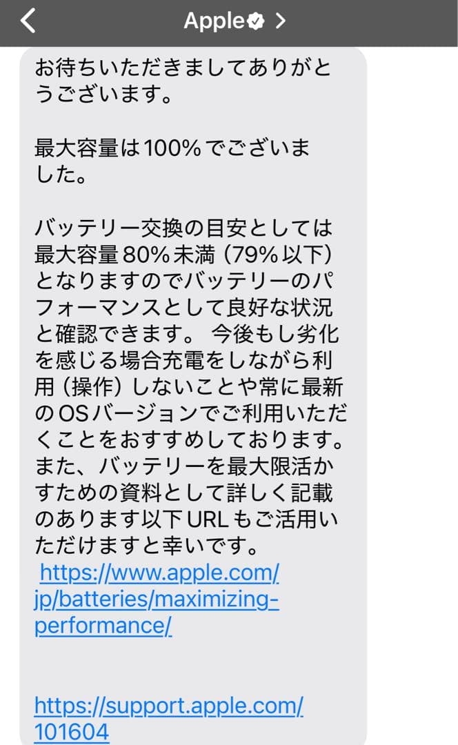 【ANA限定】iPad mini 第6世代 64GB Wi-FiモデルiOS26