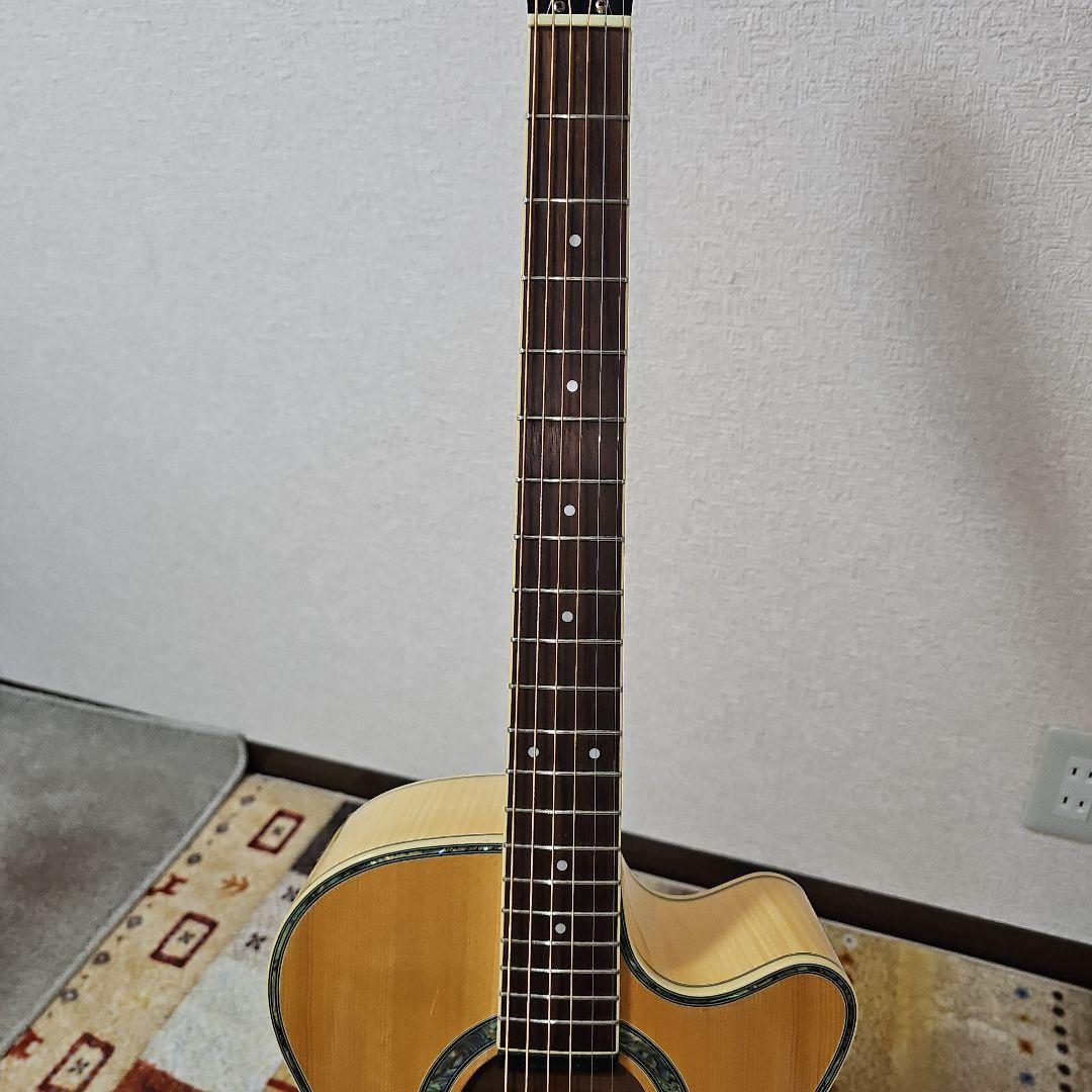 Epiphone.PERFORMER.SE Shadow.nanoMGAエレアコ