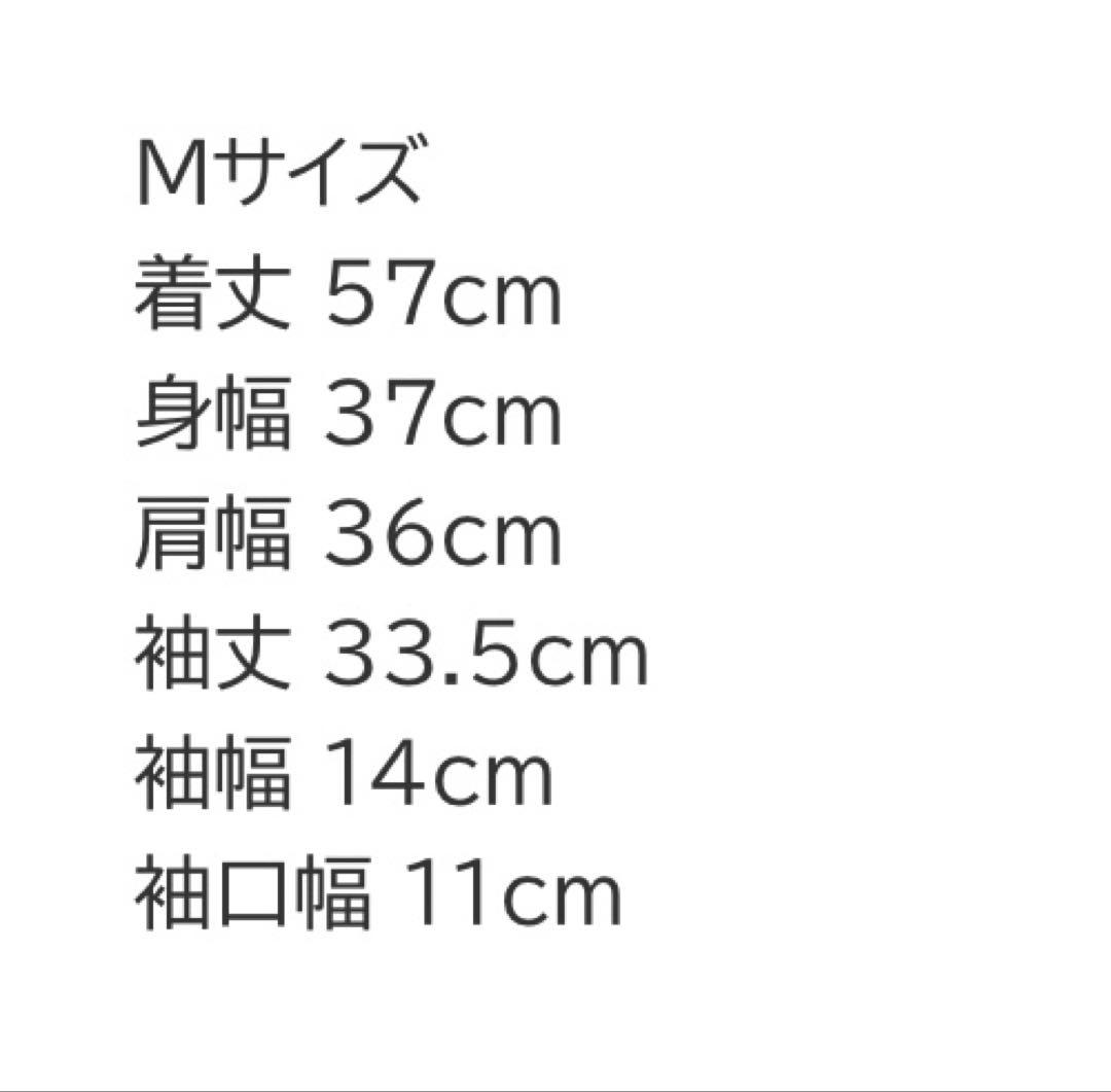 《sale》【未使用タグ付き】regleam 五分袖ポロ襟リブカットソーM