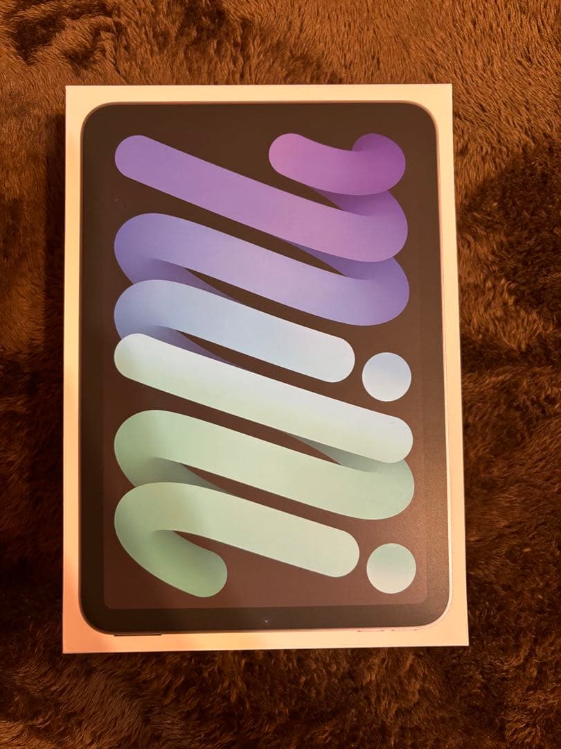 iPad mini (第7世代) 128GB Wi-Fi 本体※その他付属品あり