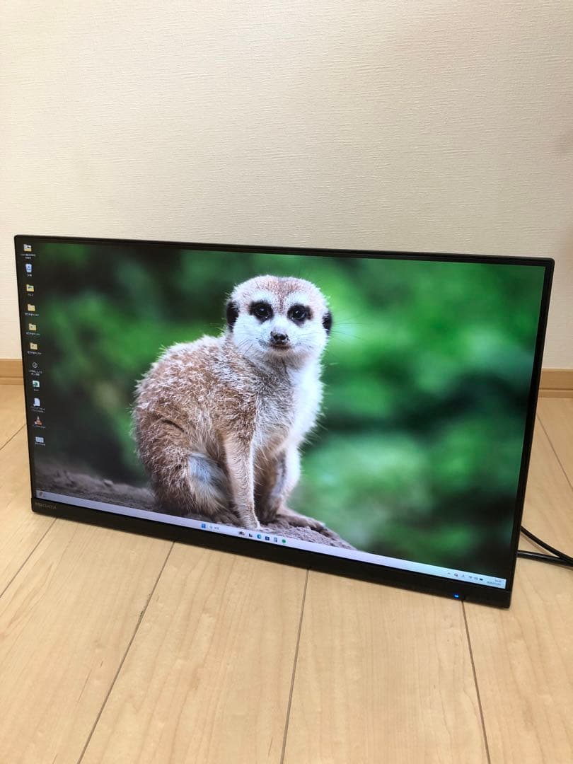 IO-DATA 高解像度LEDディスプレイLCD-MQ241XDB ＋壁掛アーム