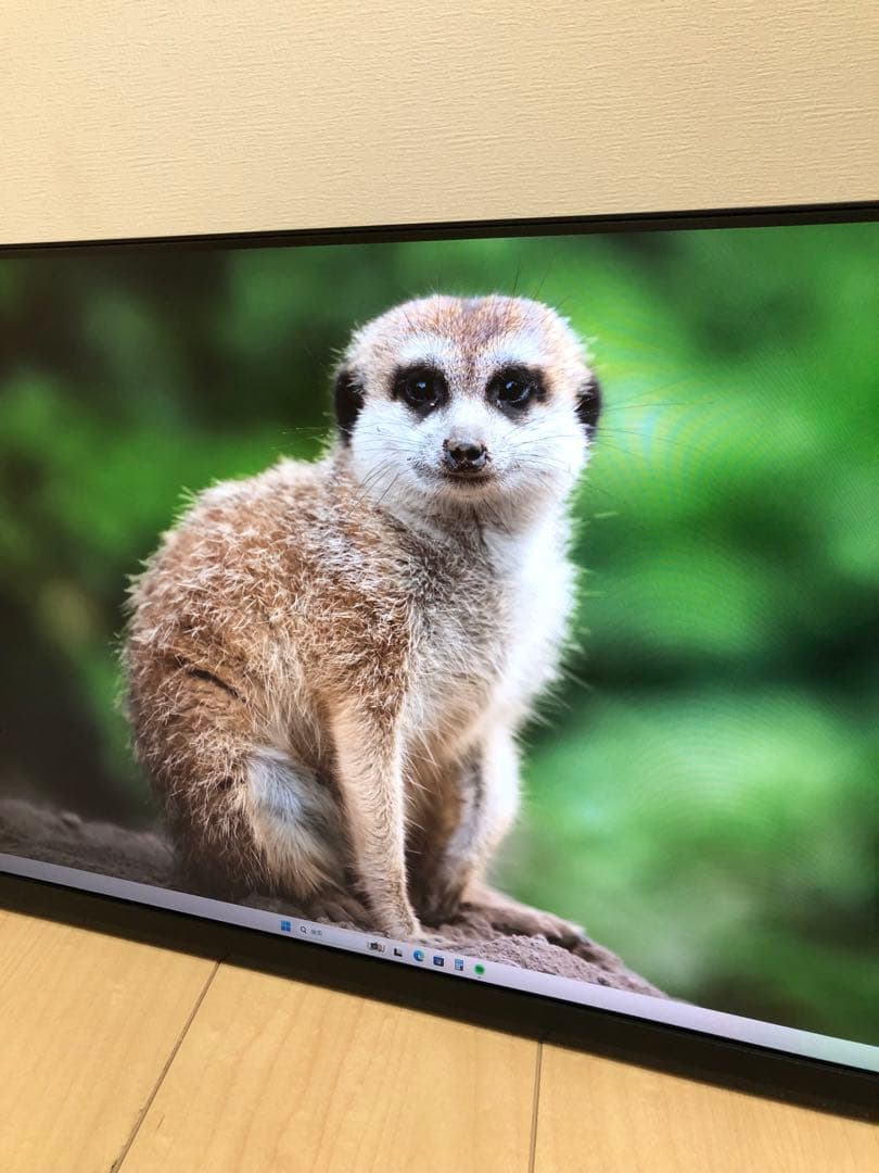 IO-DATA 高解像度LEDディスプレイLCD-MQ241XDB ＋壁掛アーム