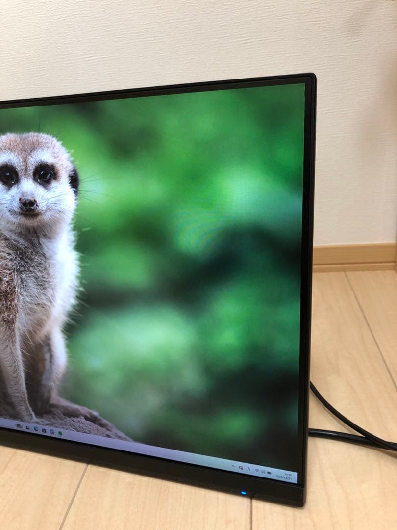 IO-DATA 高解像度LEDディスプレイLCD-MQ241XDB ＋壁掛アーム