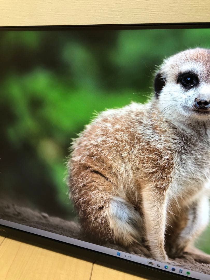 IO-DATA 高解像度LEDディスプレイLCD-MQ241XDB ＋壁掛アーム