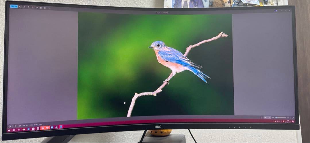 HKC 湾曲モニターMG34A4Q 3440x1440 120Hz モニター