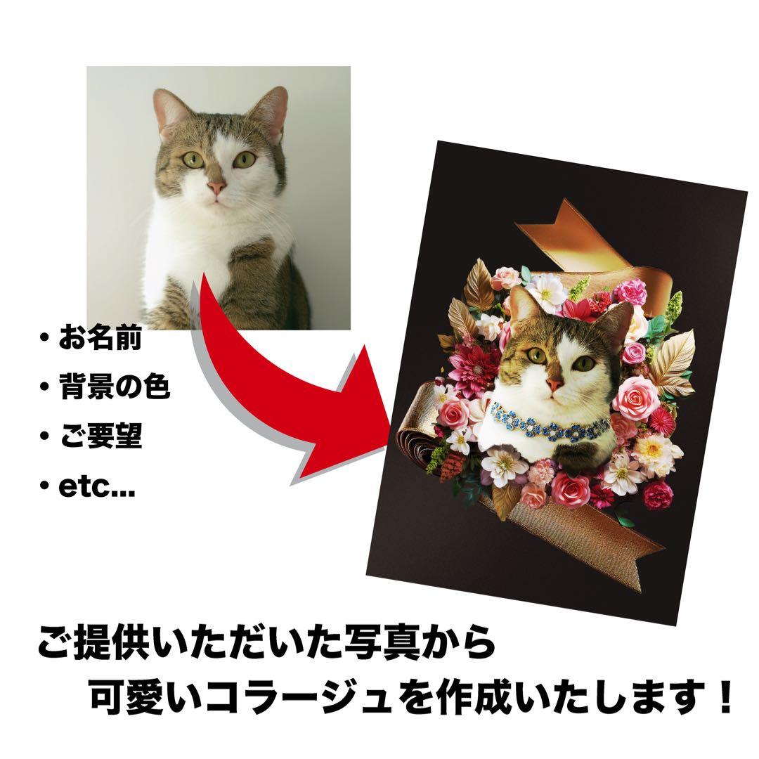 【Eliza】オーダーメイドコラージュ