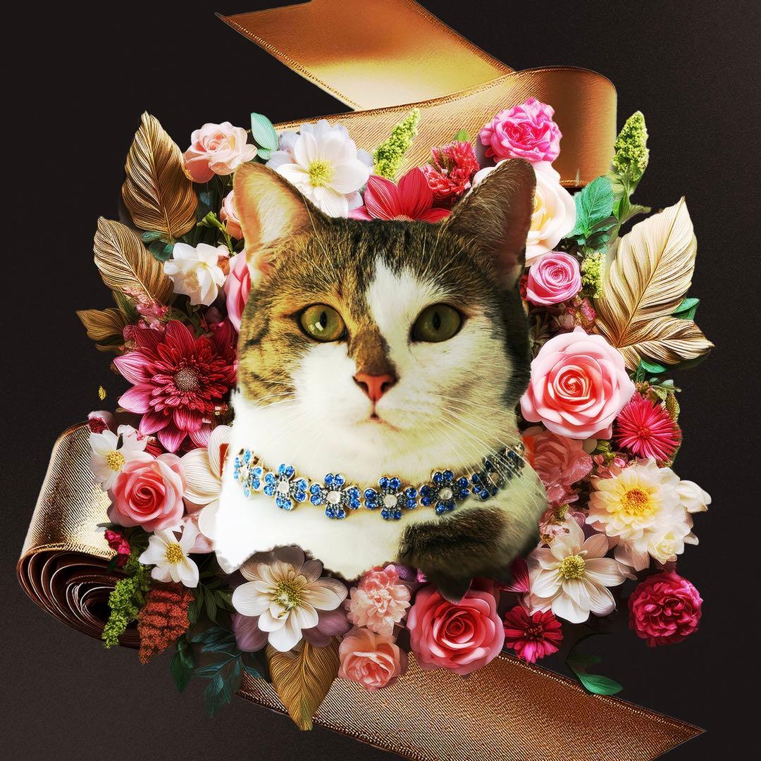 【Eliza】オーダーメイドコラージュ